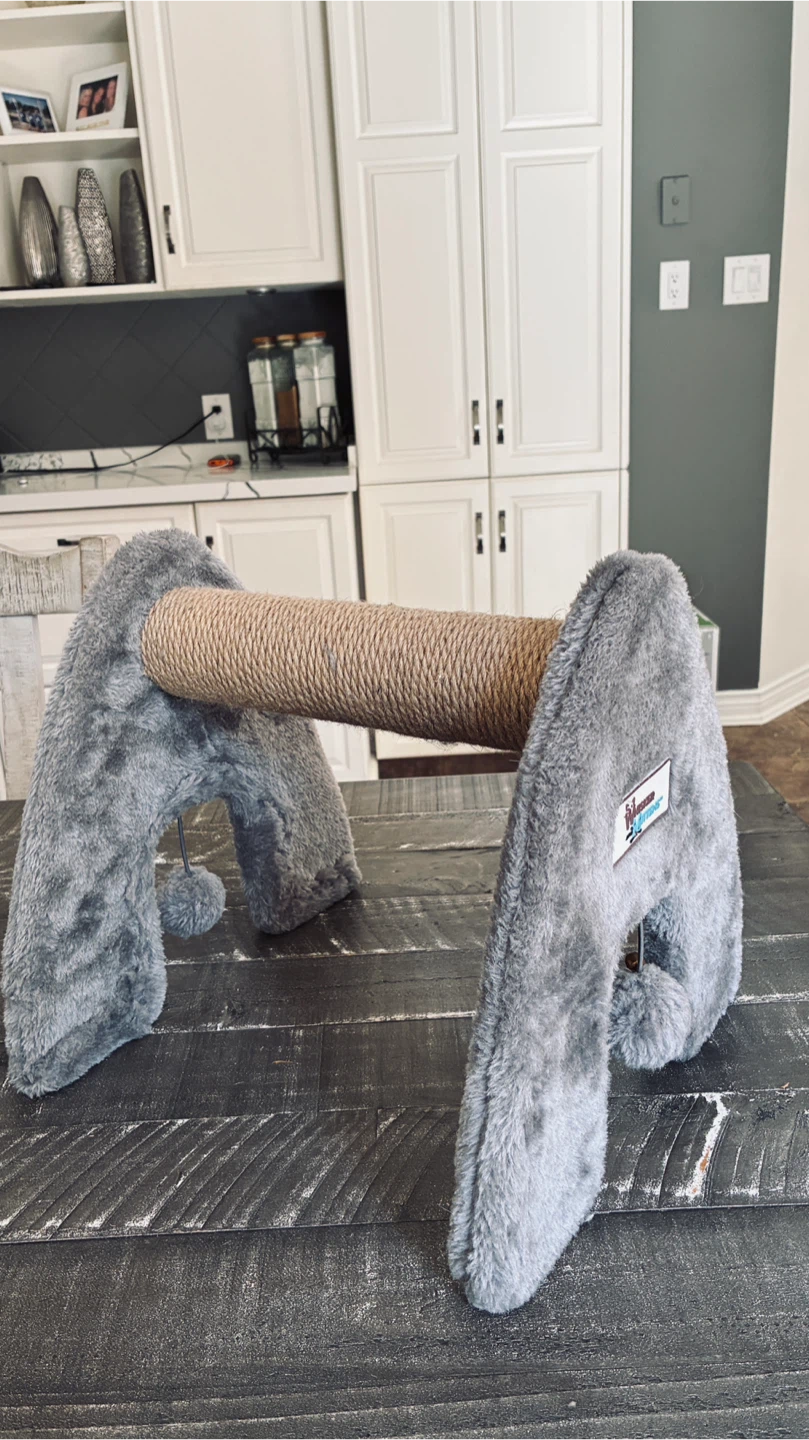 “Whisker & Mittens” cat scratching post