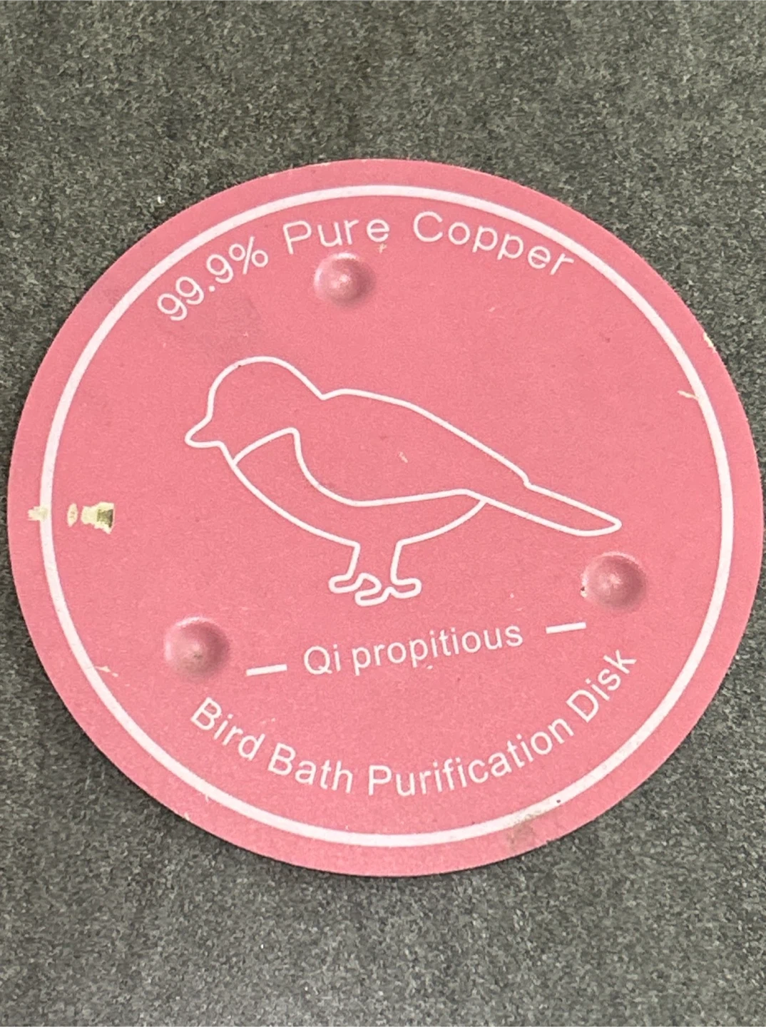 Pure Copper Bird Bath Purification Disks - photo 4