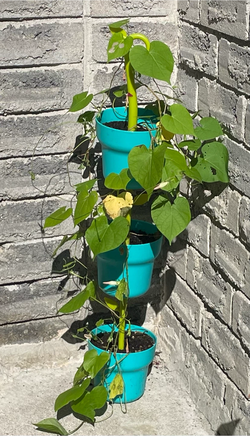 Vigar Green Collection Modular Pot Hanger - photo 2