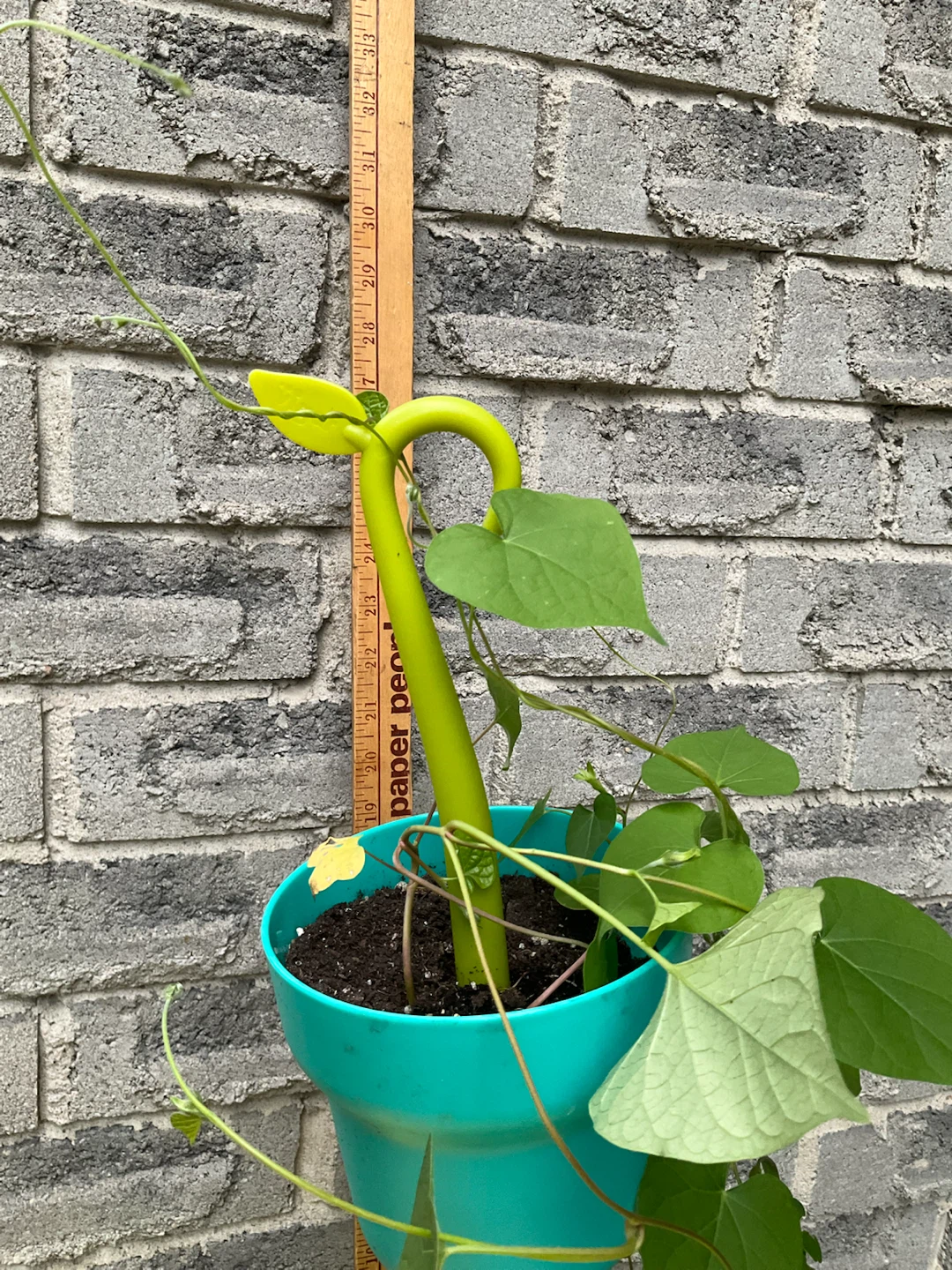 Vigar Green Collection Modular Pot Hanger - photo 4