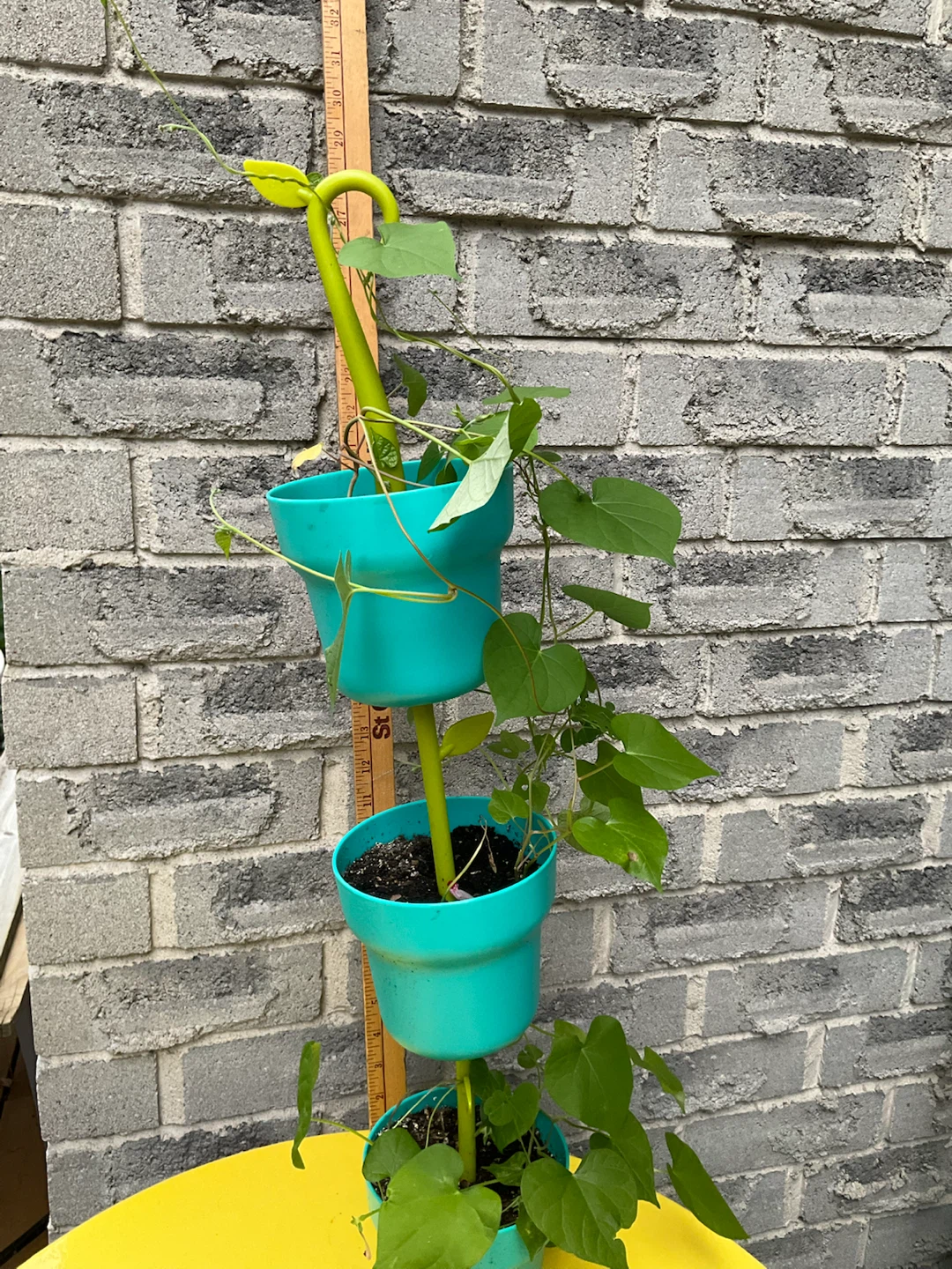 Vigar Green Collection Modular Pot Hanger - photo 4