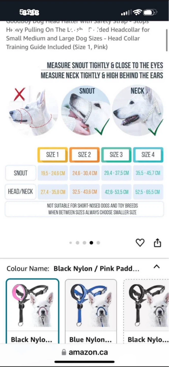 NEW Dog Items - photo 4