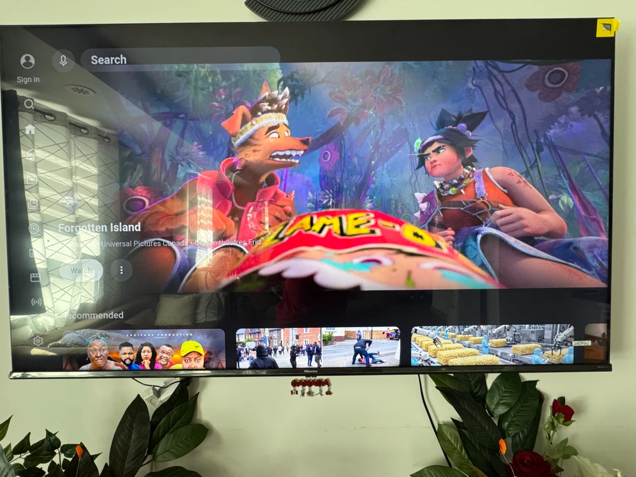 Hisense Smart TV