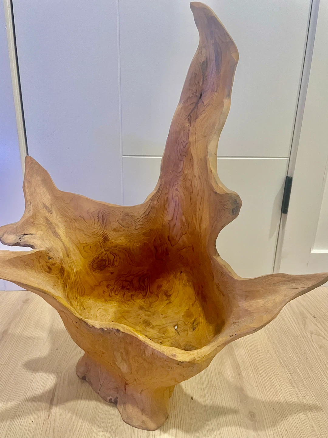 Natural Teak Root Bowl