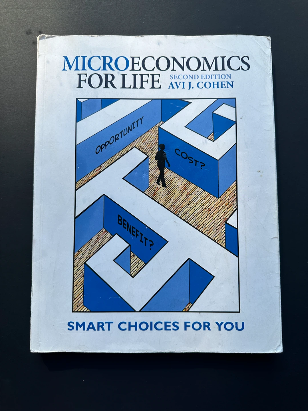 Microeconomics for Life Second Edition by Avi J. Cohen
