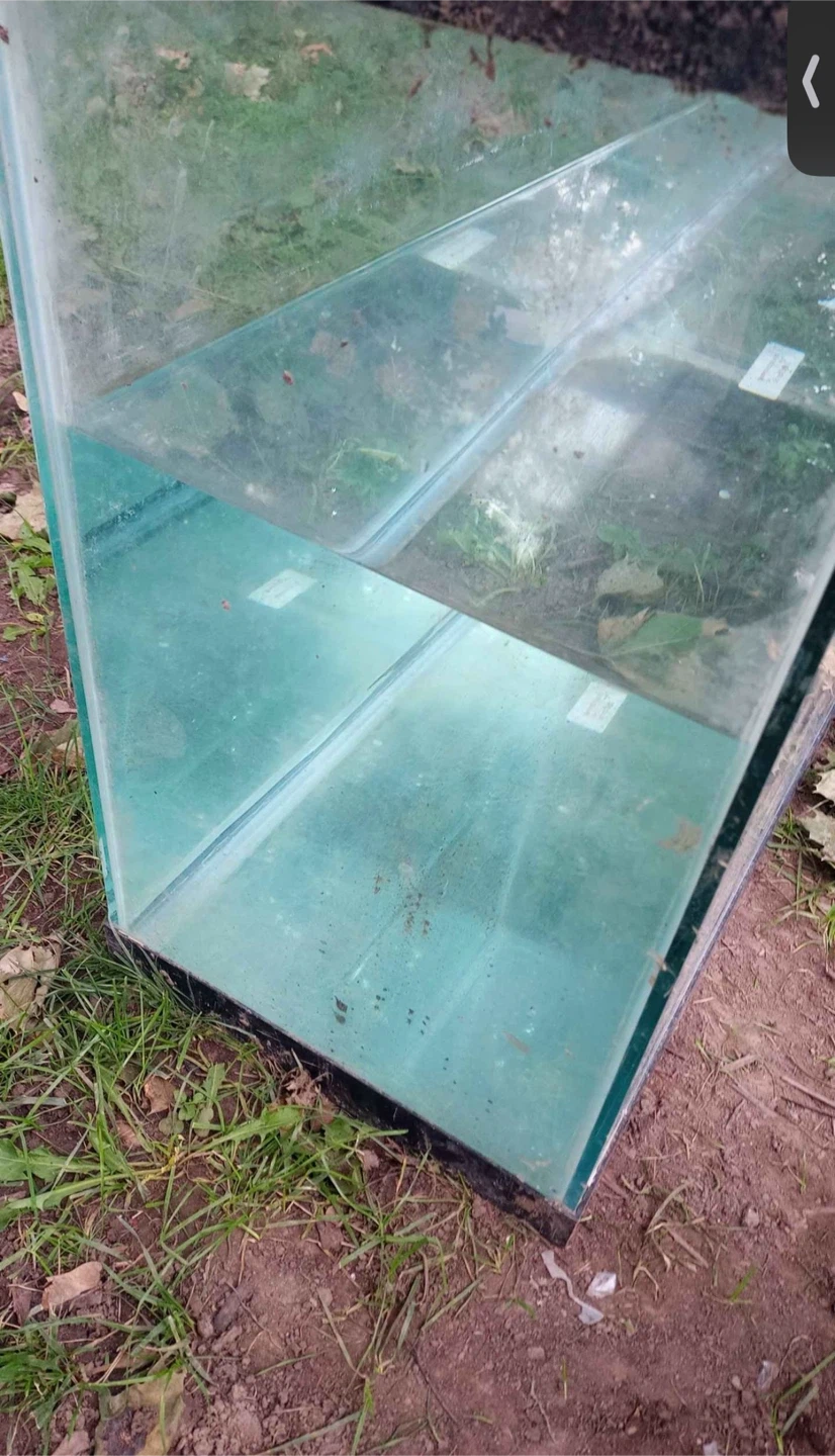 Glass Fish Aquarium Tank - photo 3
