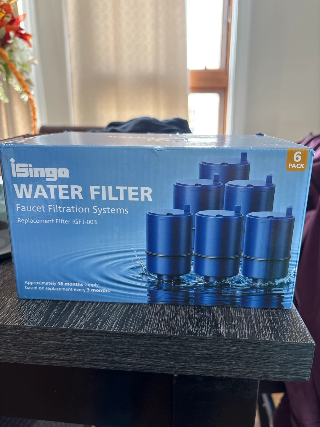 iSingo Water Filter Replacement IGFT-003 6-Pack
