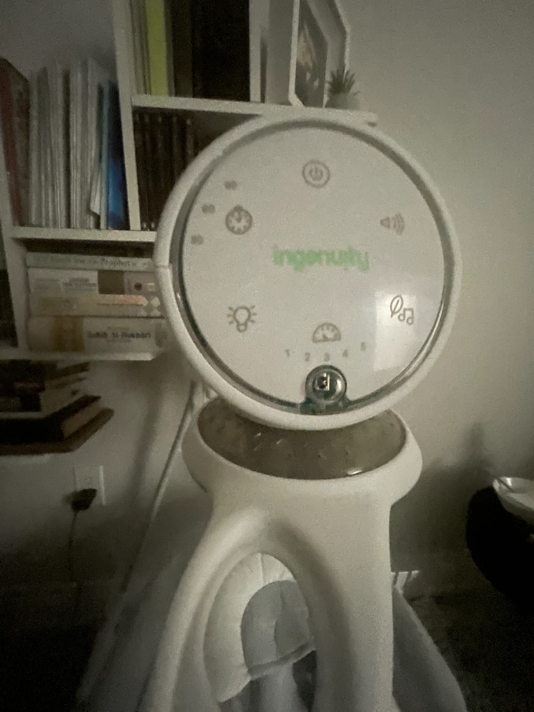 Ingenuity Baby Swing and few other items - photo 2