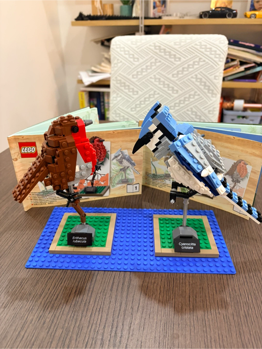 LEGO Ideas Birds 21301 Set of 2 birds - photo 4