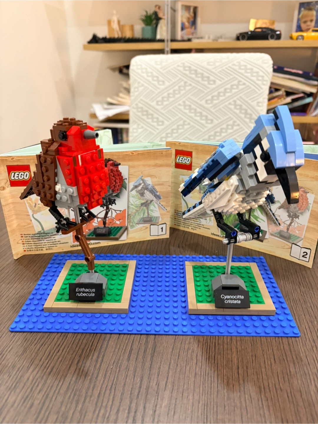 LEGO Ideas Birds 21301 Set of 2 birds - photo 5