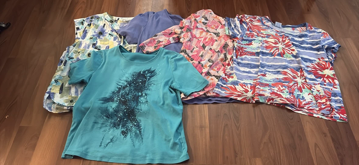 Lot of 5 assorted women's tops