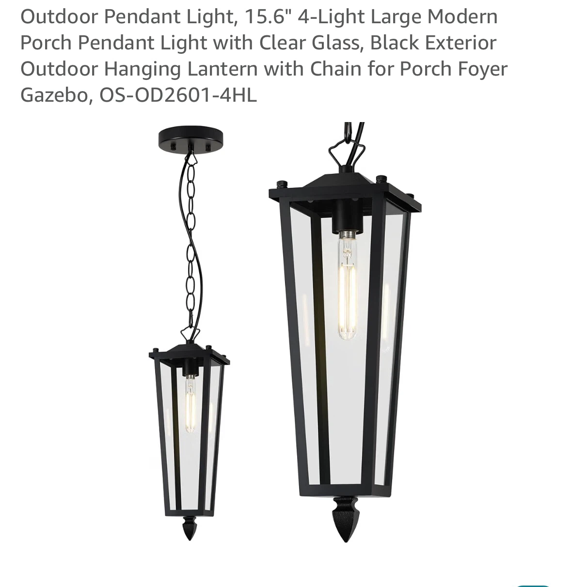 Outdoor Pendant Light - Matte Black