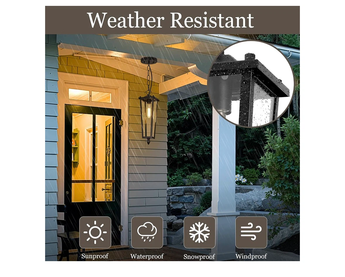 Outdoor Pendant Light - Matte Black - photo 4