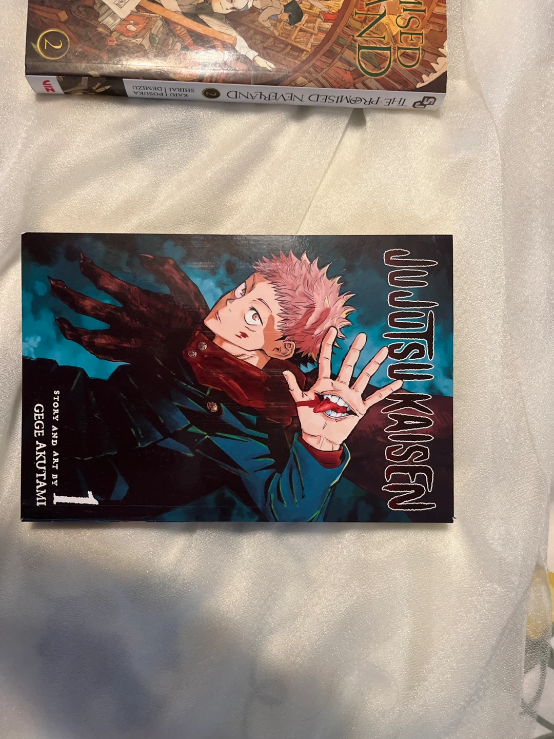 Assorted Manga Collection - Chainsaw Man, JJK, Neverland - photo 3