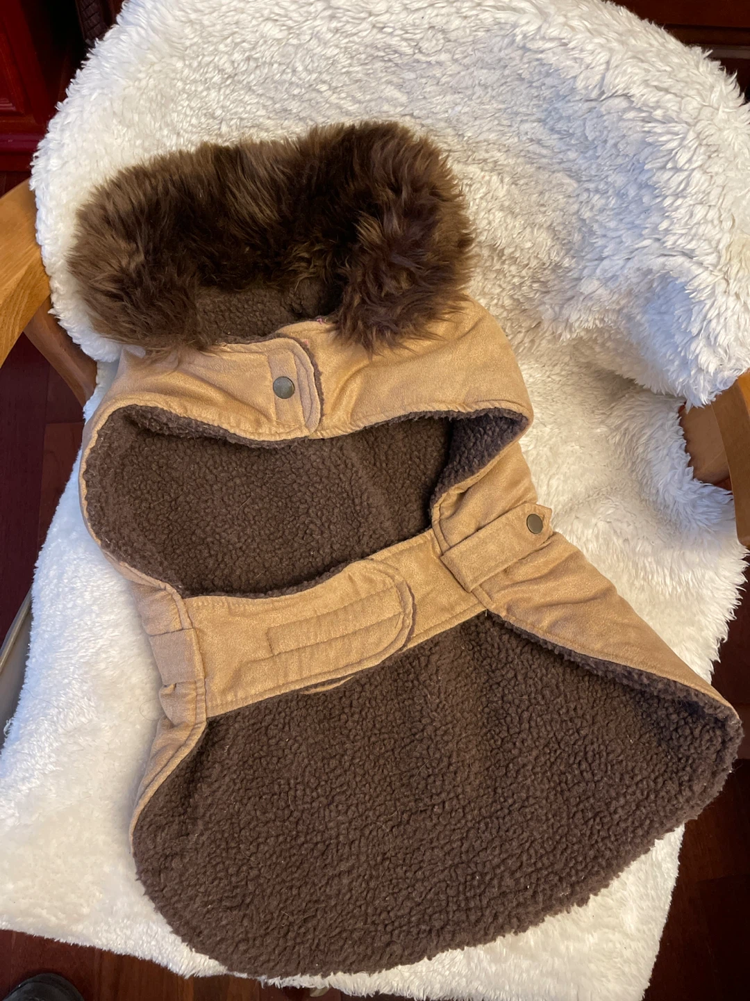 Bond & Co. Pet Coat - Tan