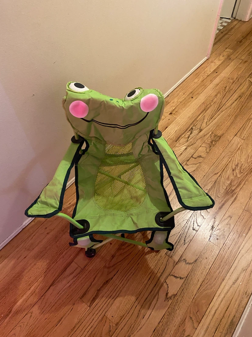 Frog kids folding camping chair