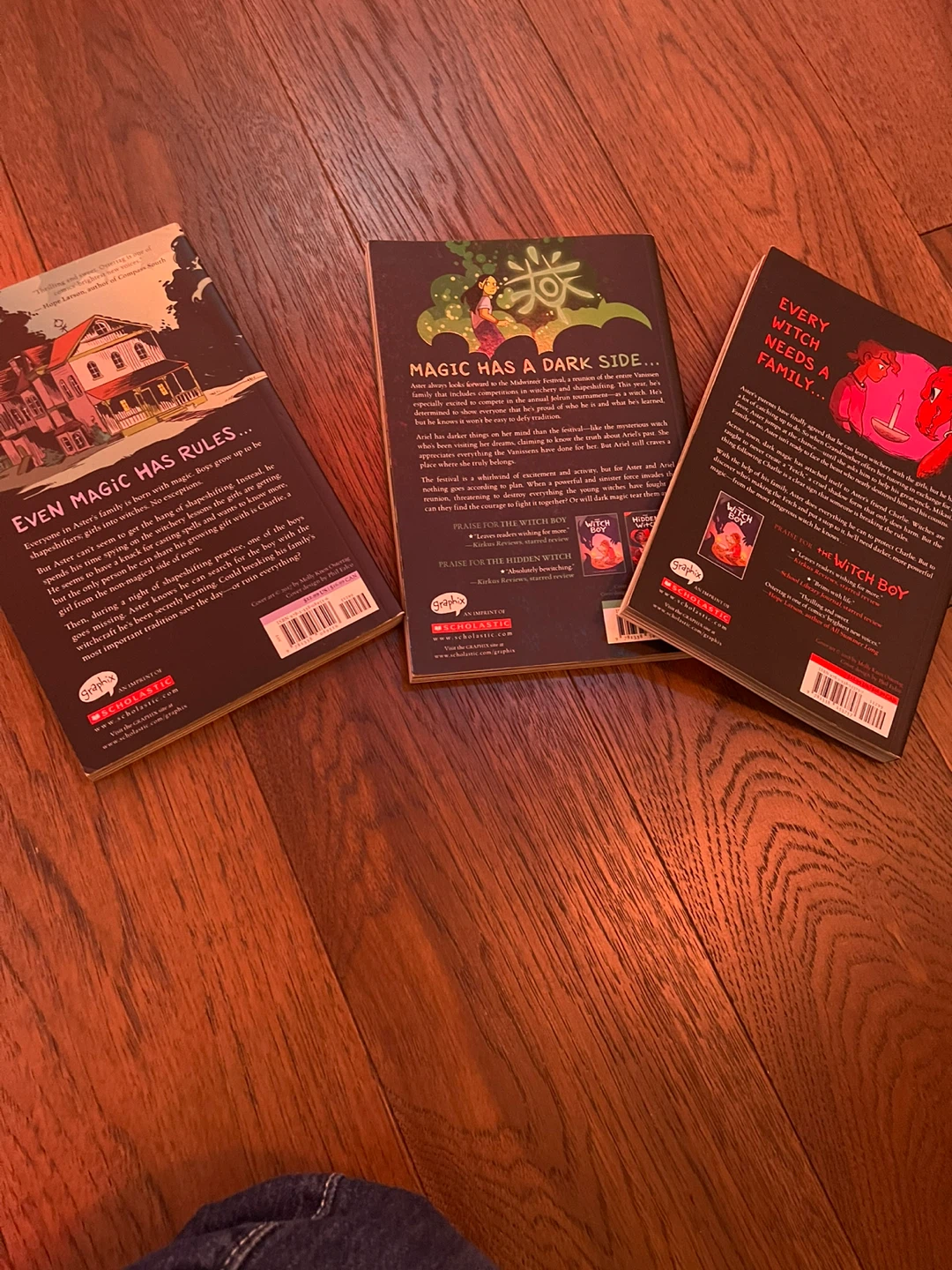 The Witch Boy Trilogy by Molly Knox Ostertag