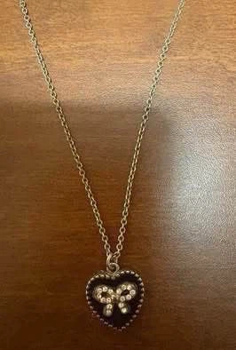 Heart shaped necklace (Never worn) (Free)