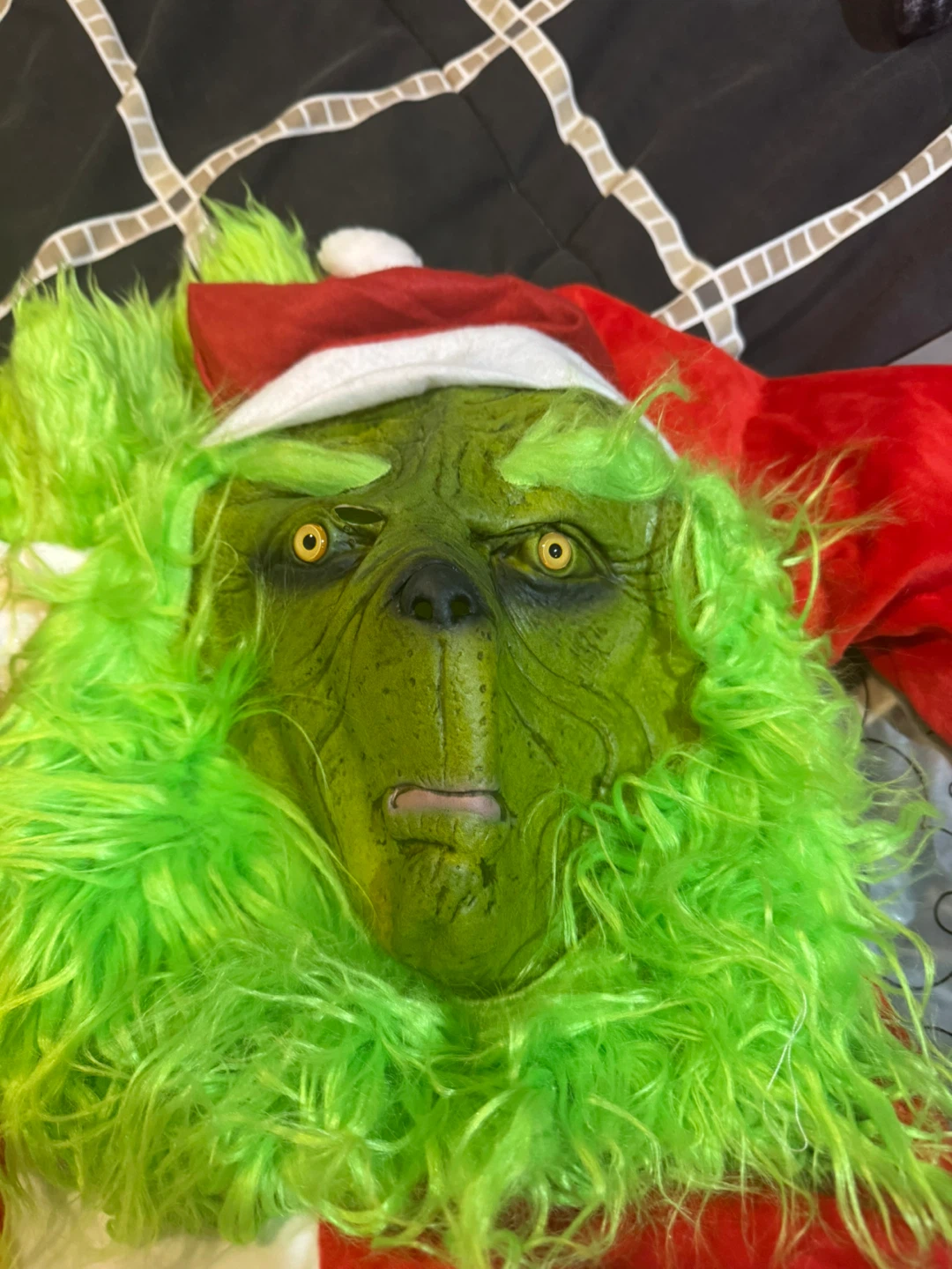 Grinch Costume Set