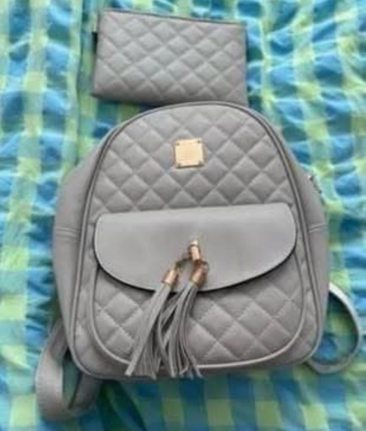 Bag & Wallet (Never used) (Free)