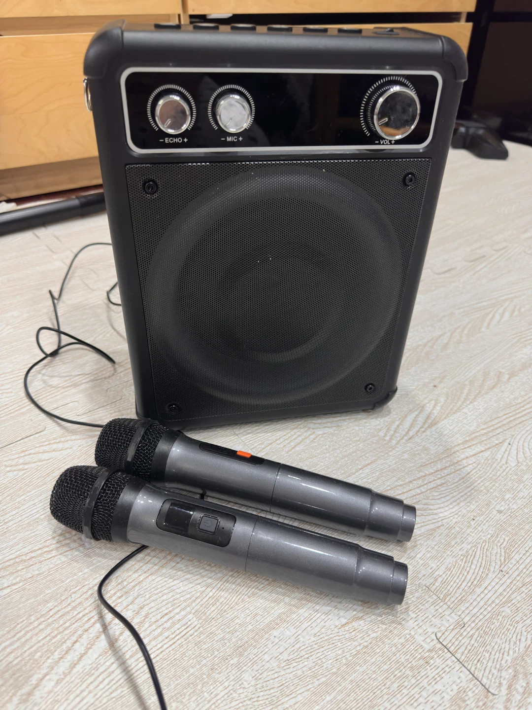 VOSOCO Karaoke Machine with 2 Microphones