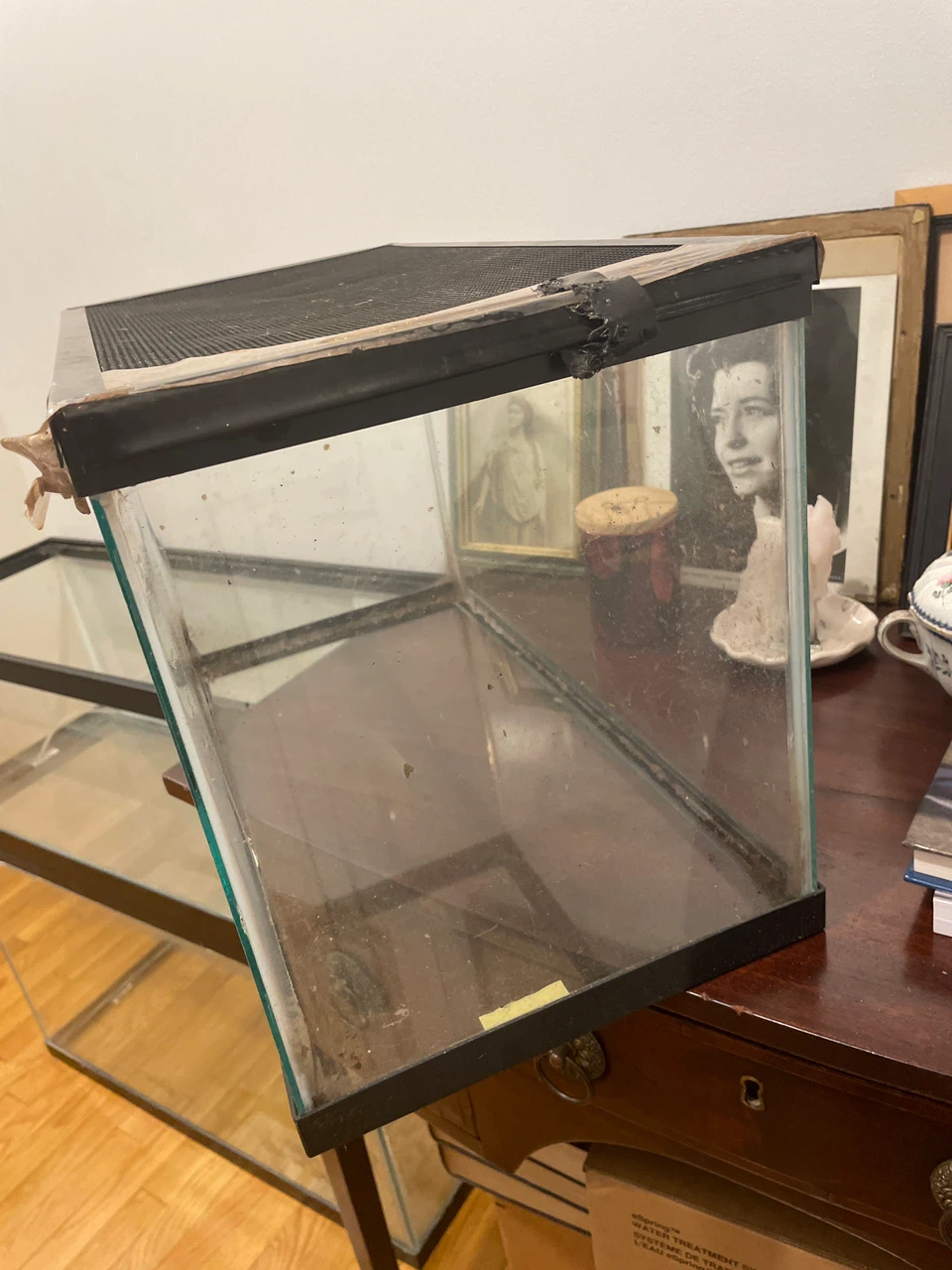 Glass Terrarium with Screen Top