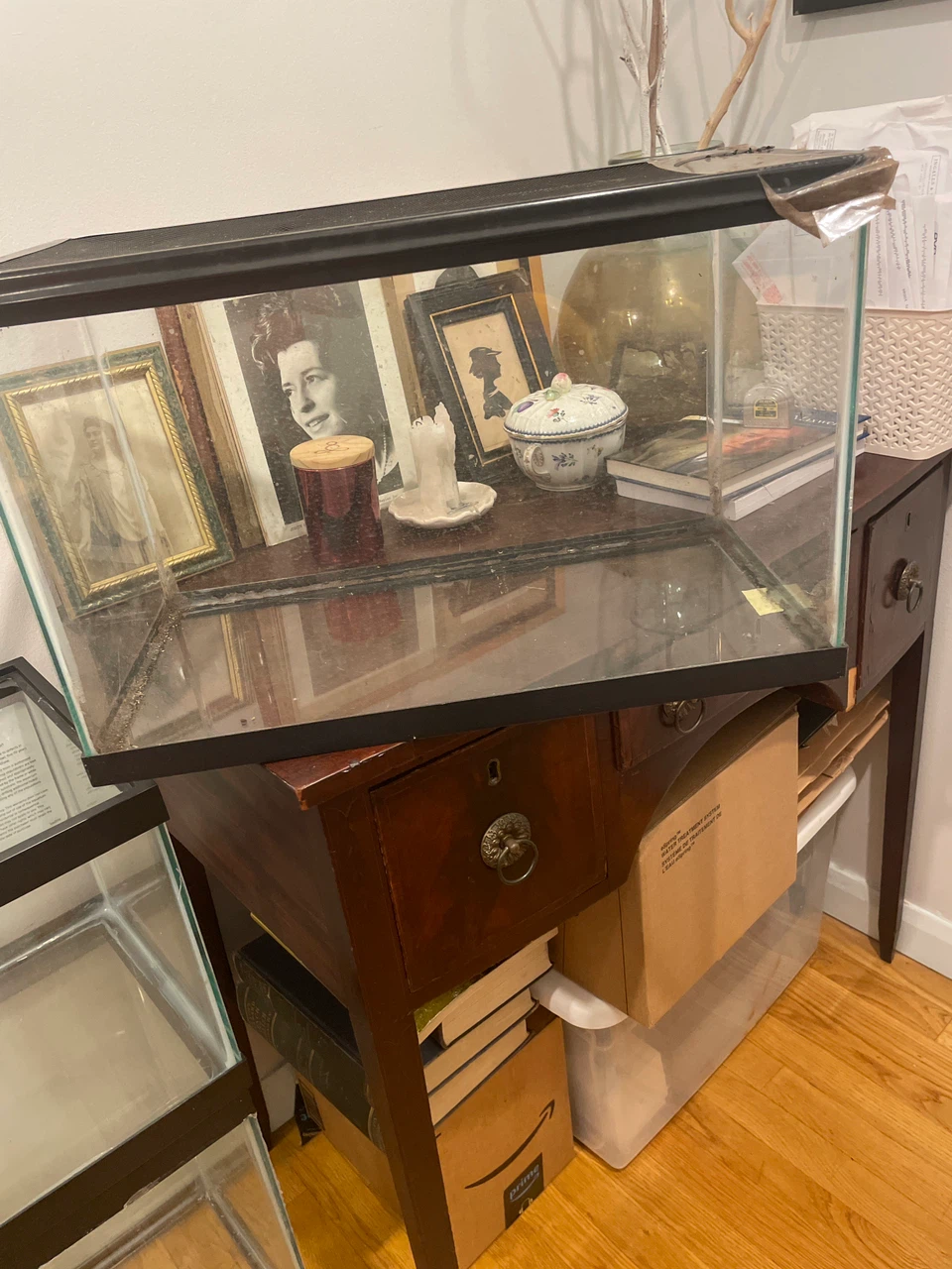 Glass Terrarium with Screen Top - photo 2