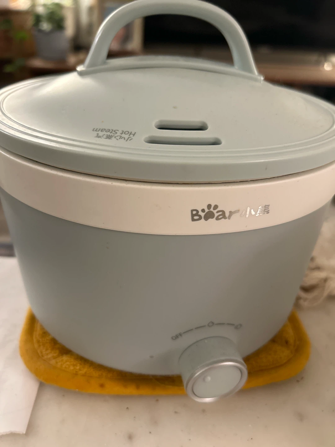 Bear Electric Multi-Cooker - mini hotpot