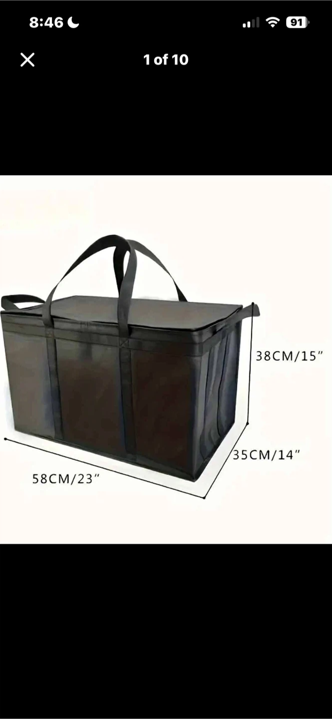 Large Insulated Food Delivery Bag