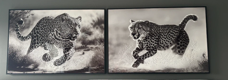 Set of Two Big Cat Wall Art Prints