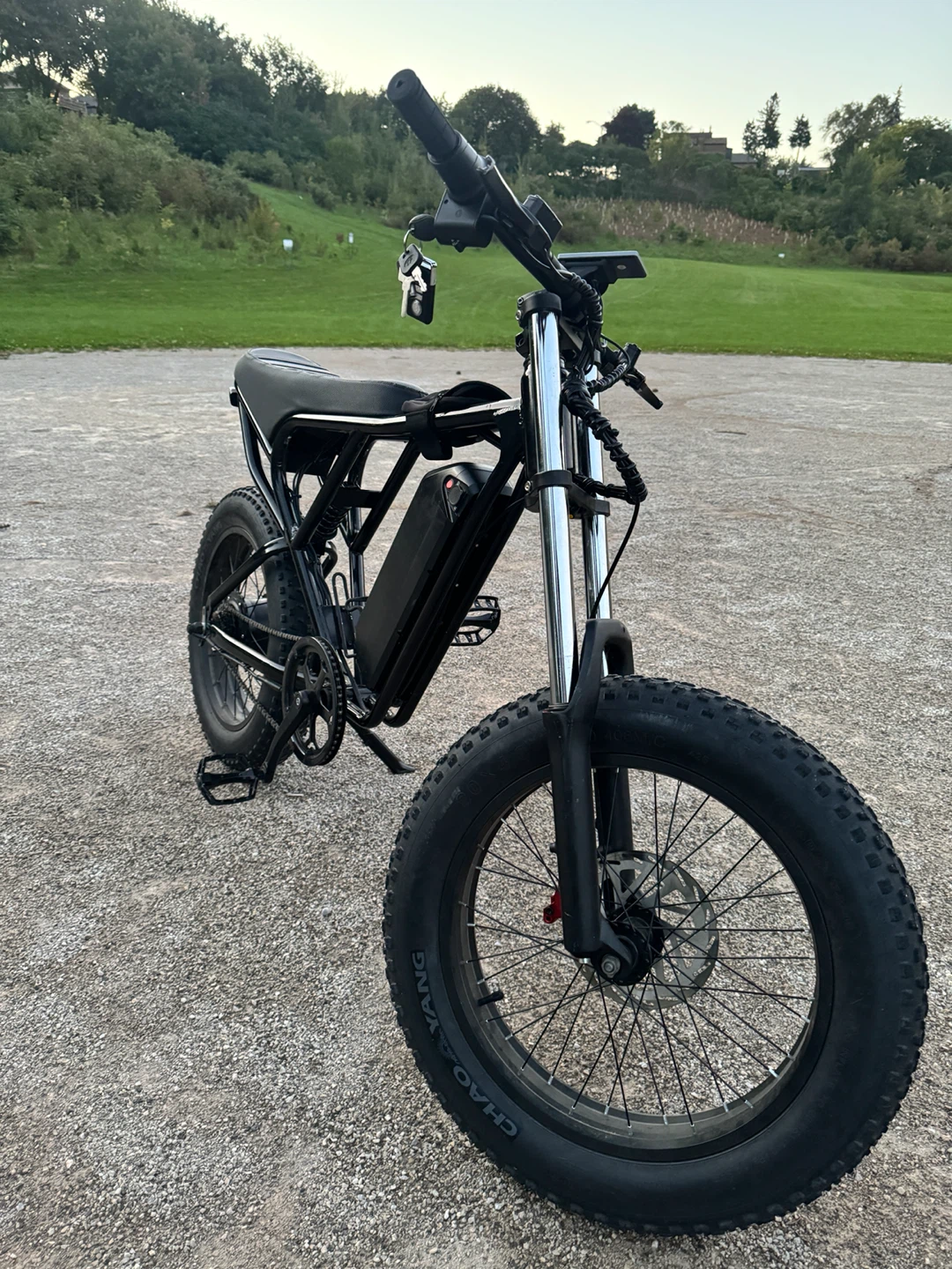 Ridstar Q20 1500W E-BIKE - photo 2