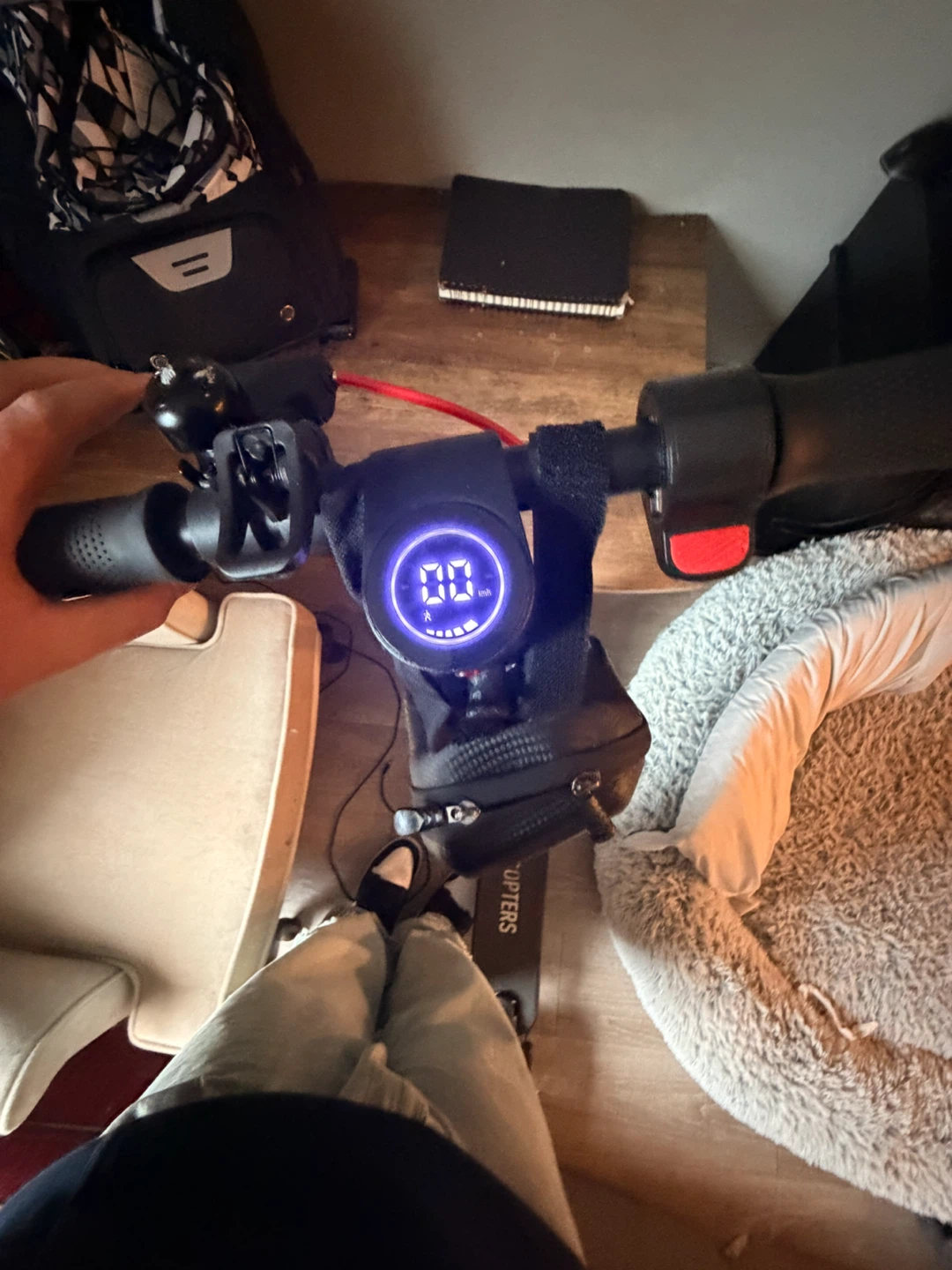 Gyrocopters Electric Scooter