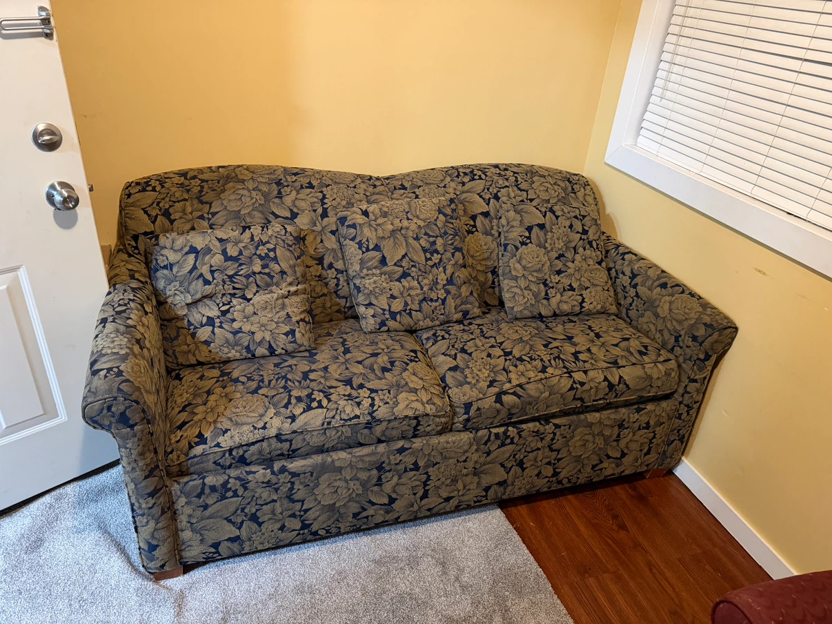 Floral Sofa cum bed and Red Wingback Recliner