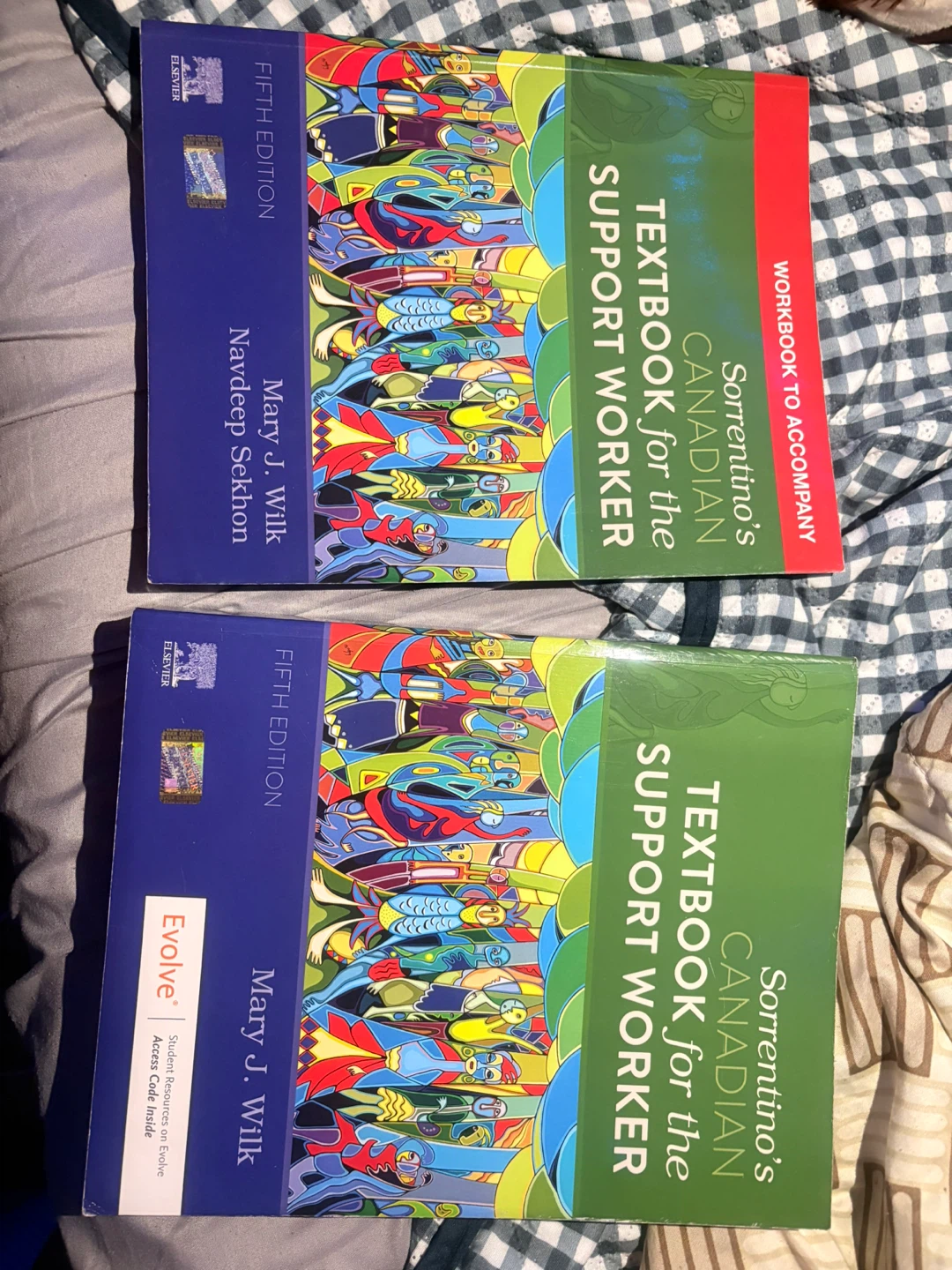 Sorrentino's Canadian Textbook for the Support Worker