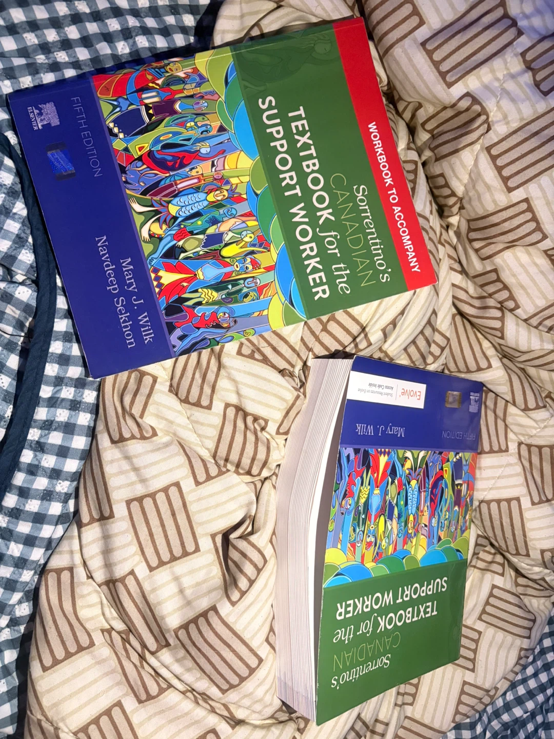 Sorrentino's Canadian Textbook for the Support Worker - photo 2
