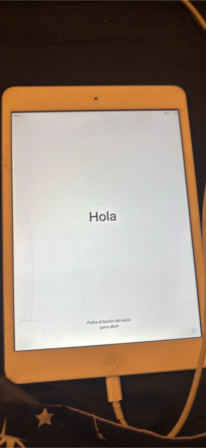 iPad mini 2