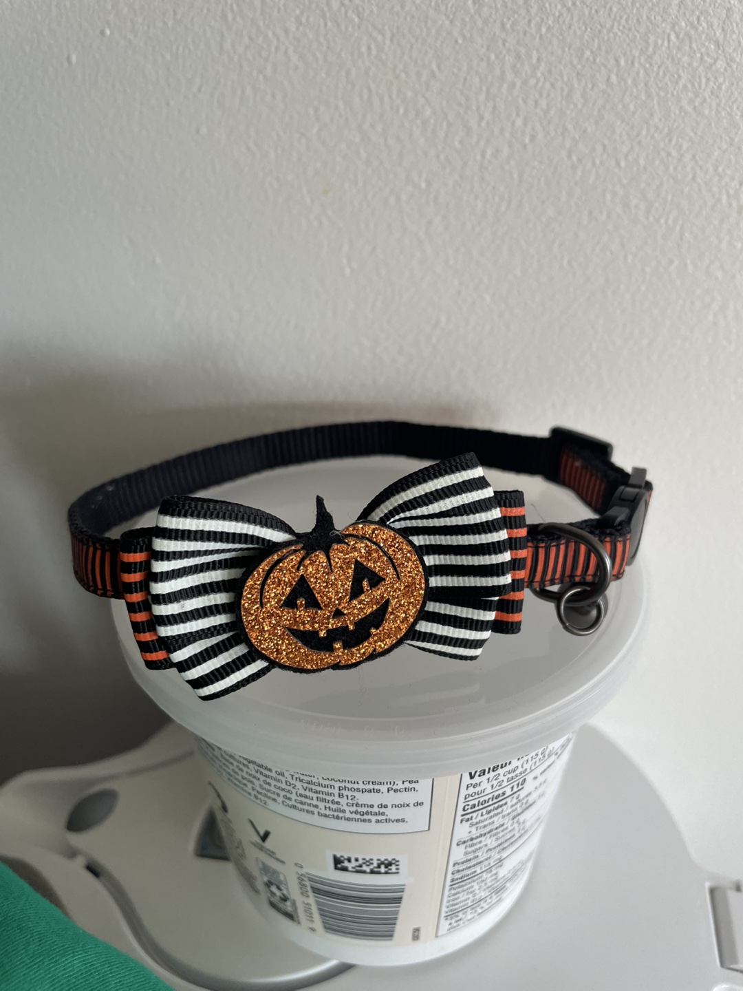 Halloween Leash