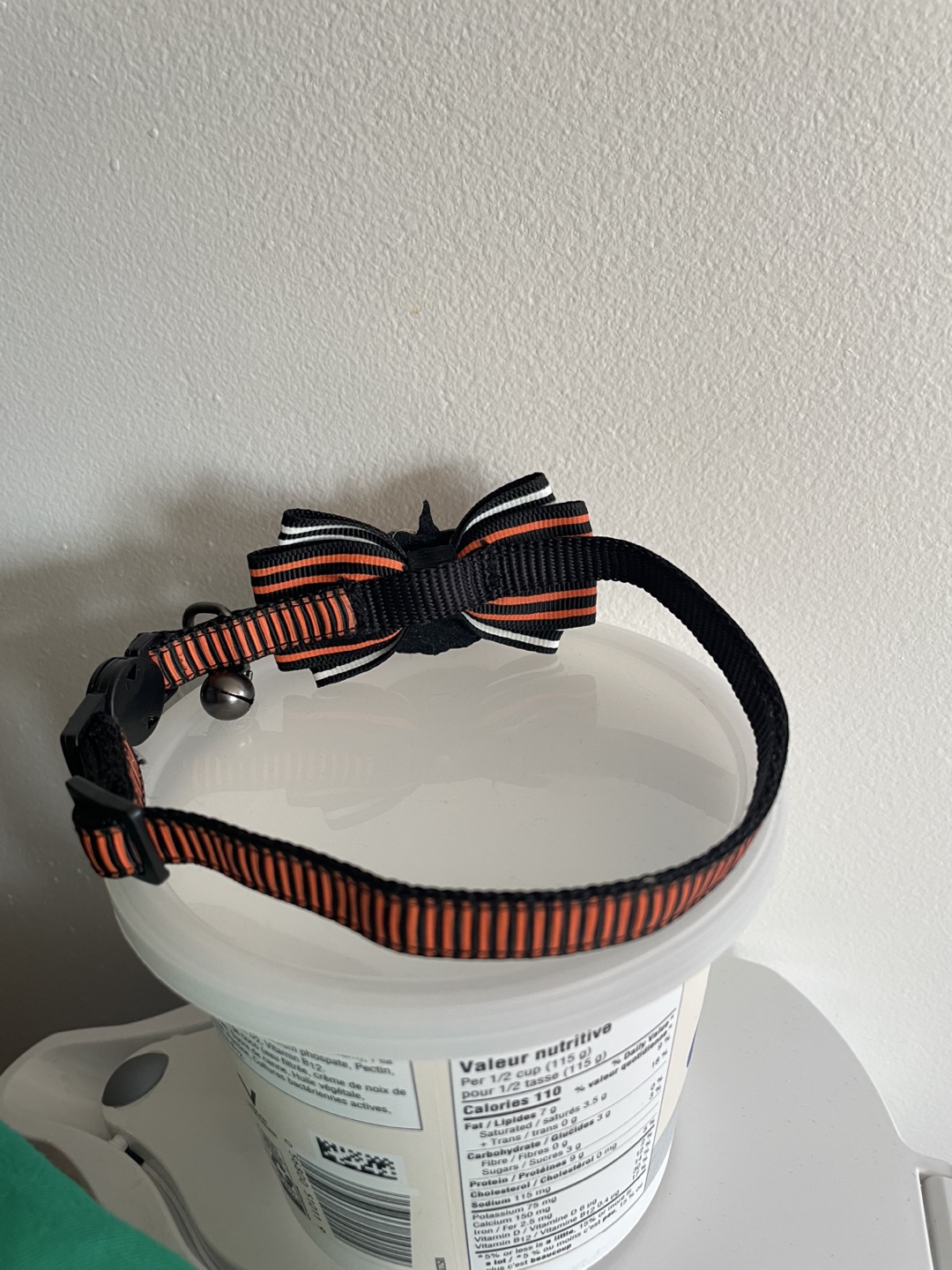 Halloween Leash - photo 3