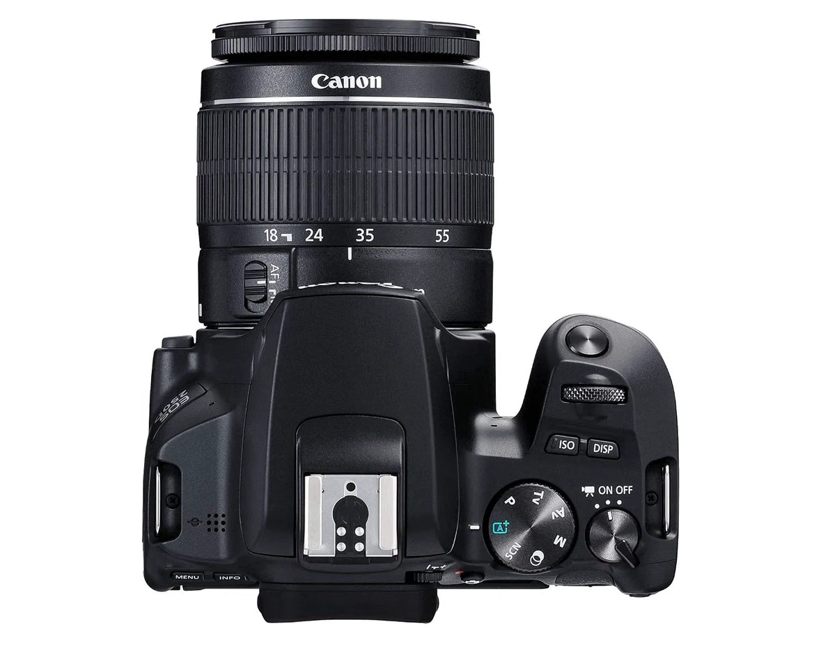 CANON EOS SL3 DSLR Camera Bundle - $1300 VALUE - photo 3