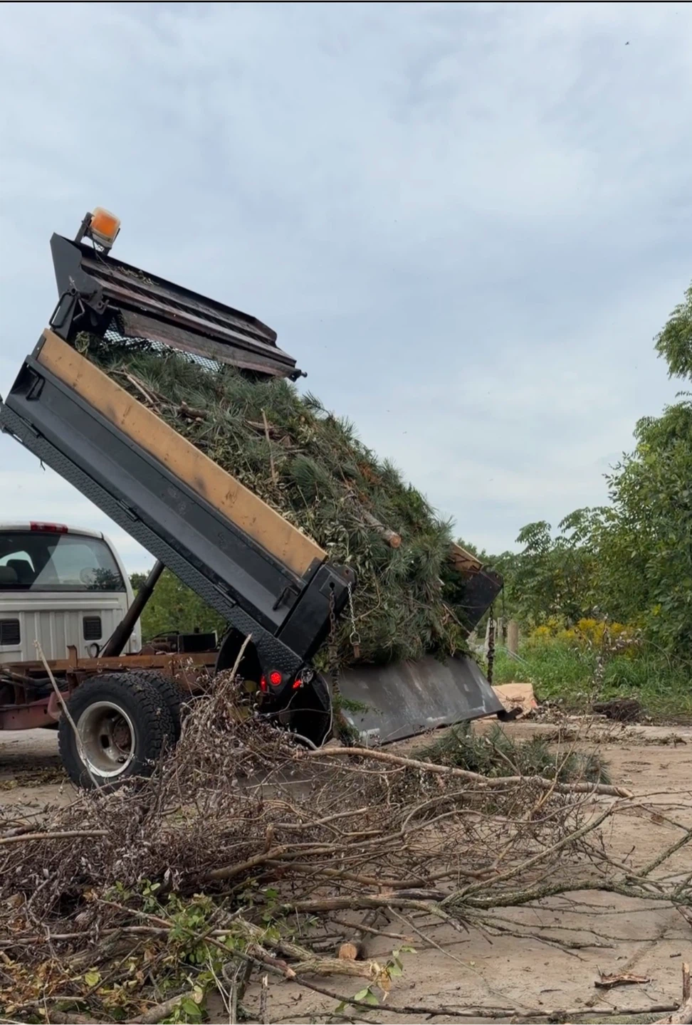 junk removal, reasonable rates