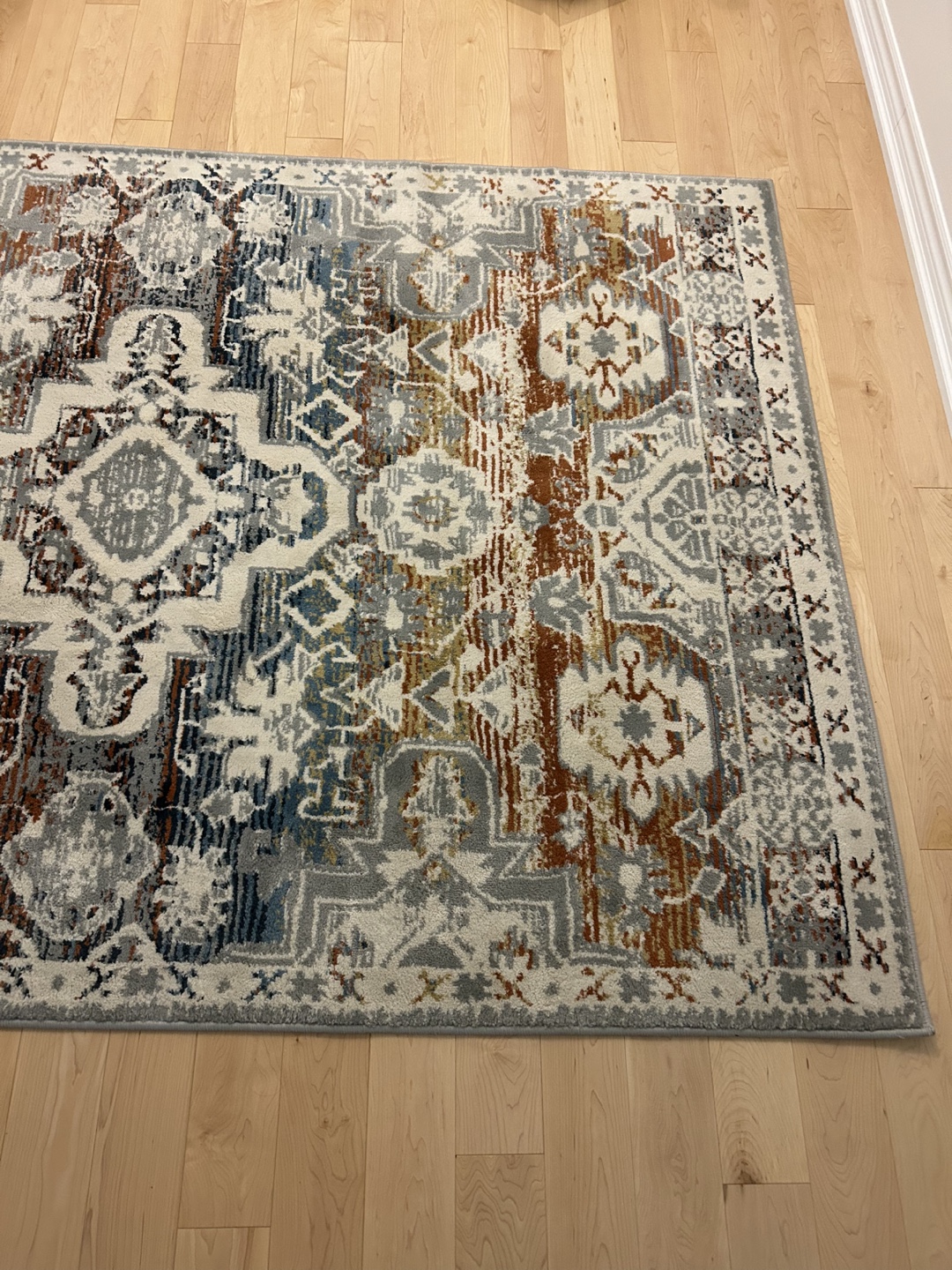 Area Rug - photo 2