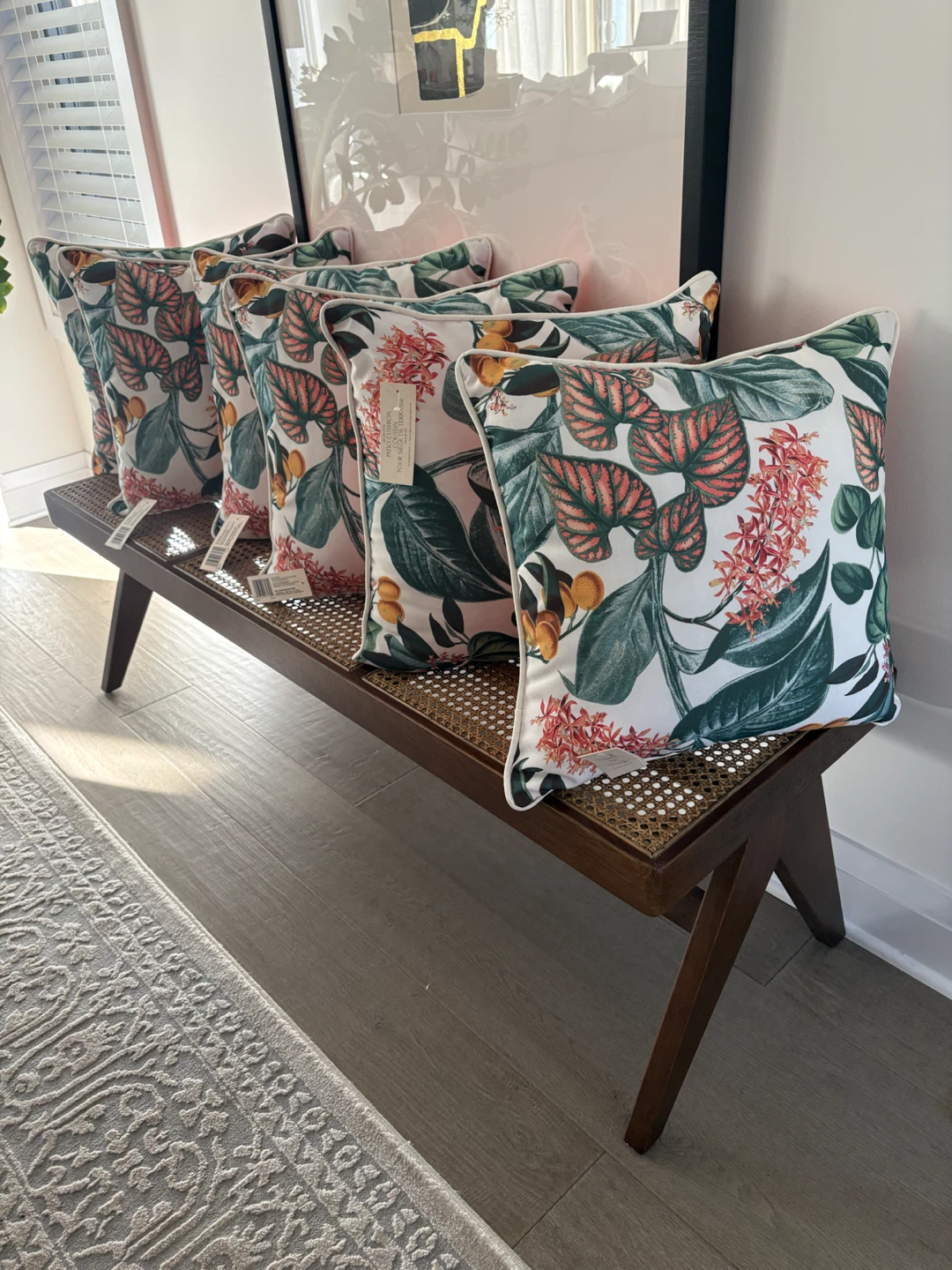 New Throw pillows
