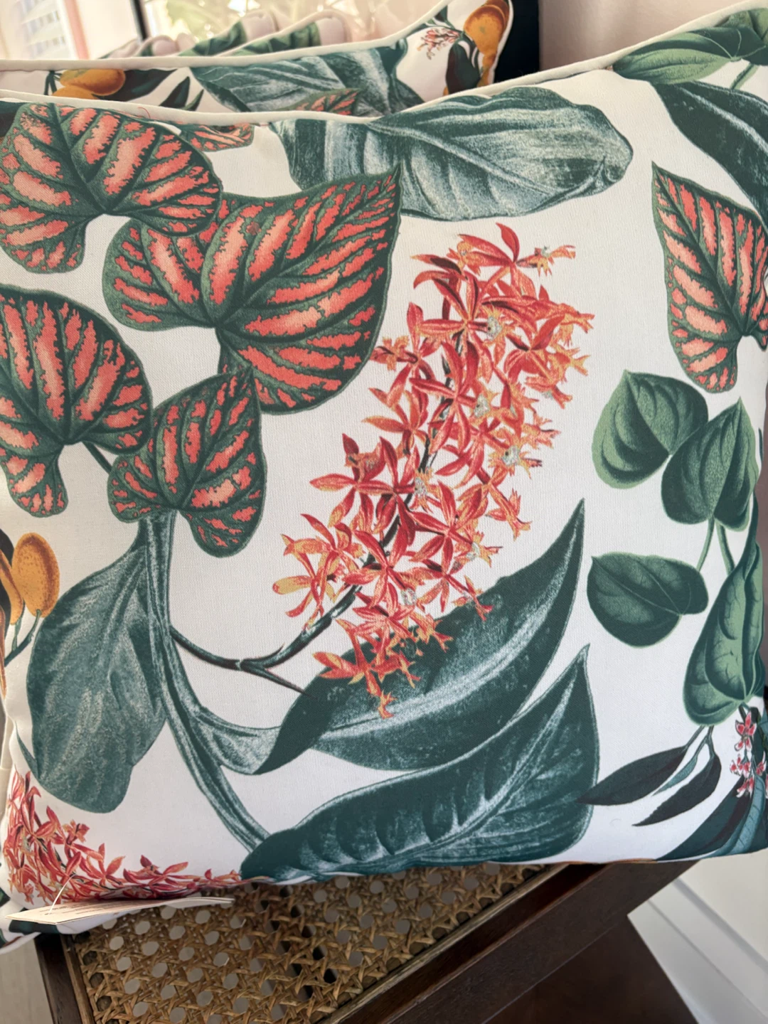 New Throw pillows - photo 3
