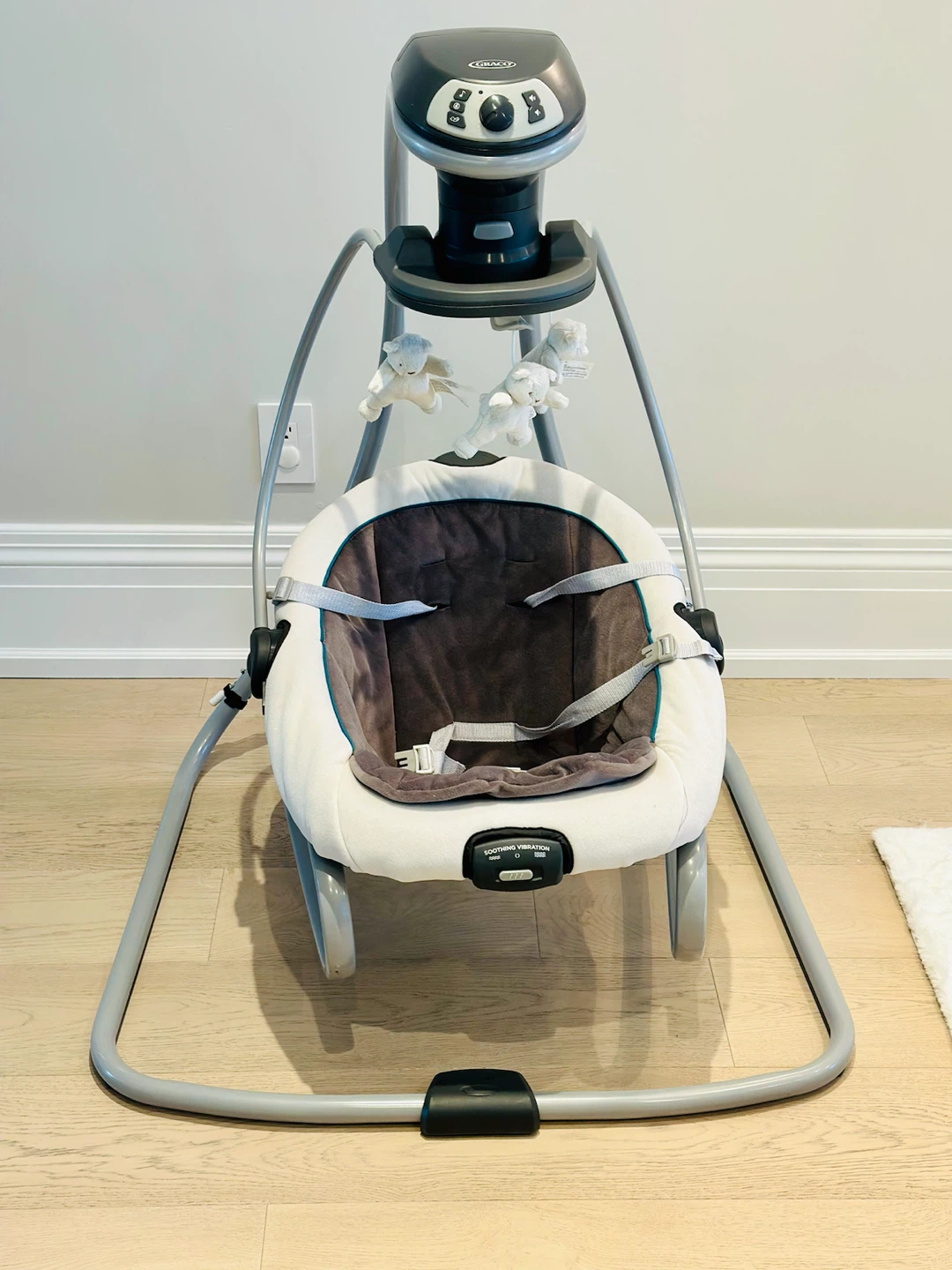 Graco DuetSoothe Swing and Rocker