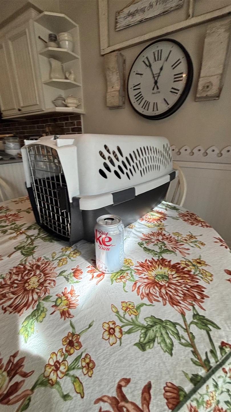 Dog Crate for Small Dogs - photo 4