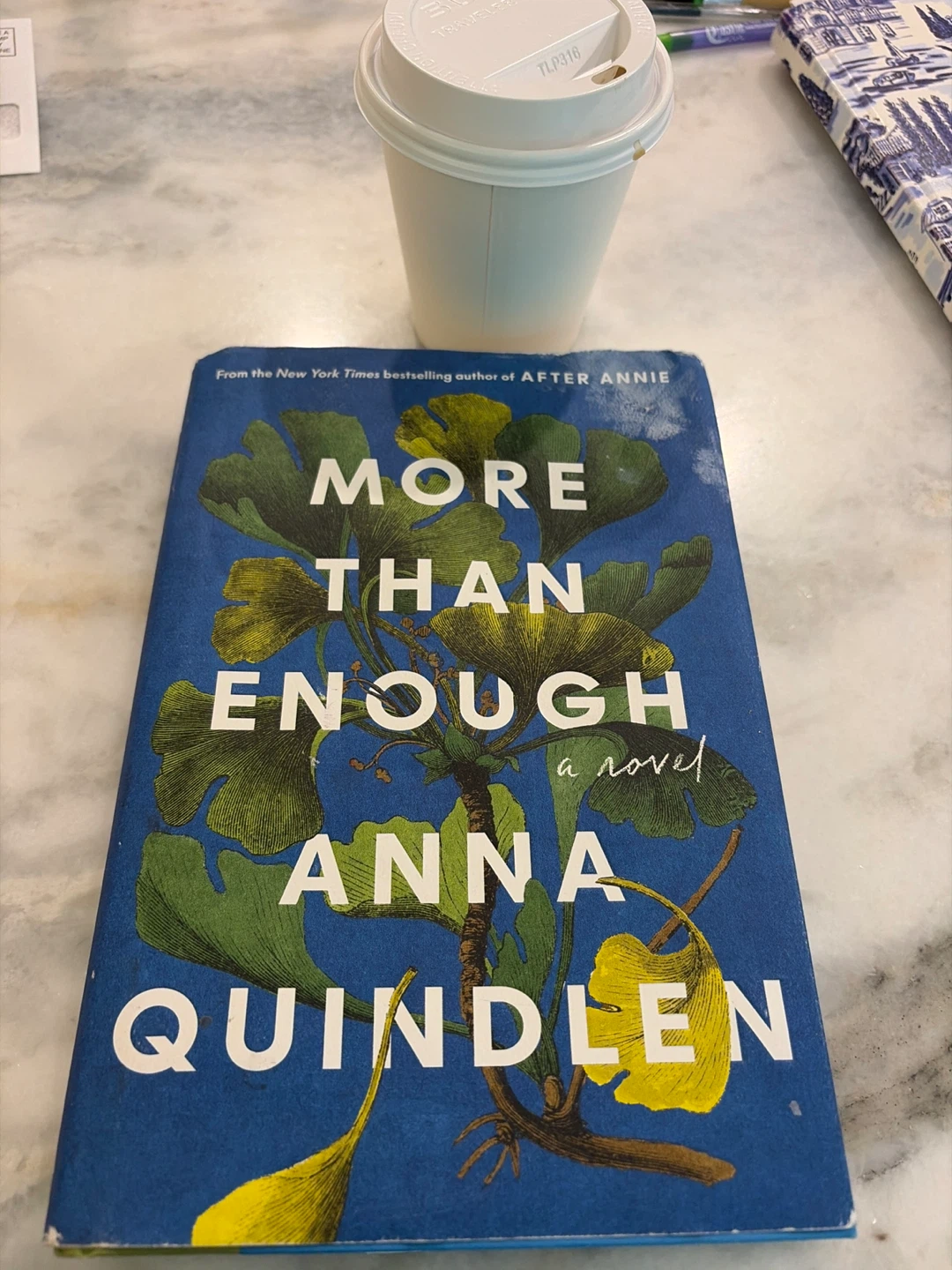 More Than Enough by Anna Quindlen