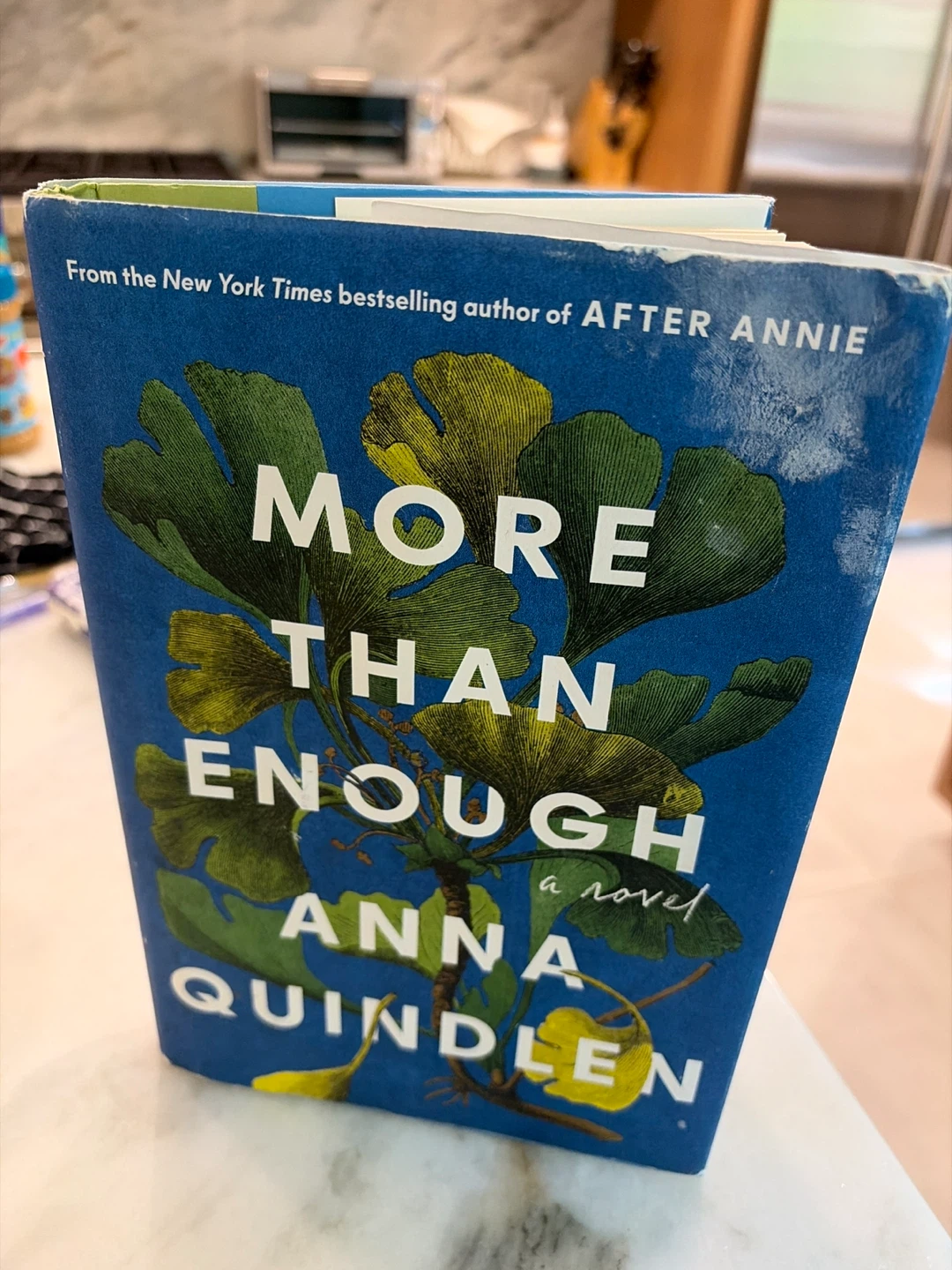 More Than Enough by Anna Quindlen - photo 2