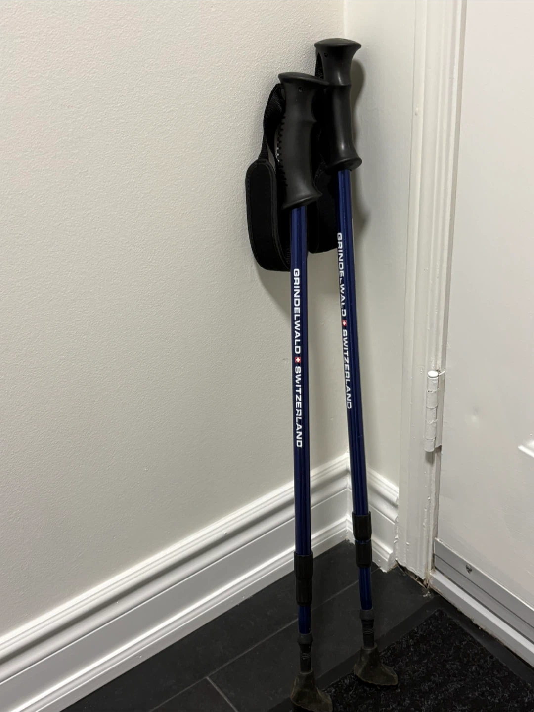 Switzerland Adjustable Trekking hiking Poles