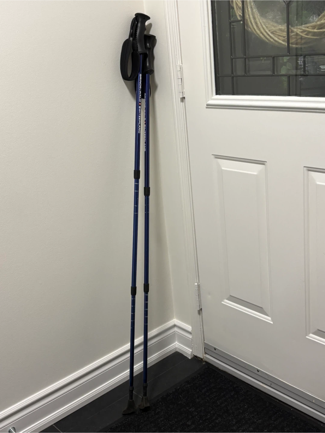 Switzerland Adjustable Trekking hiking Poles - photo 2