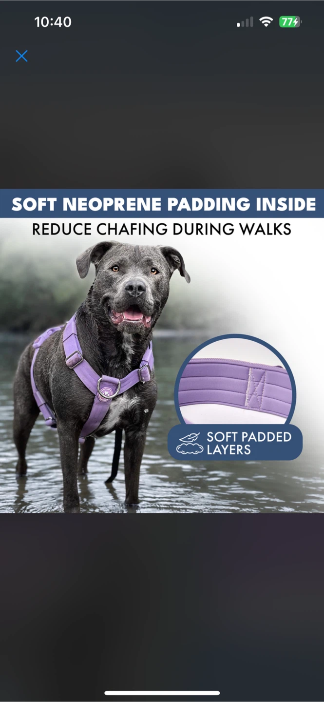 Spark Paws Comfort Control No-Pull Dog Harness - Lilac / Purple